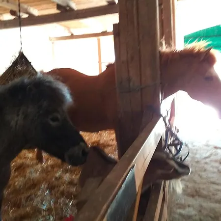 Bauernhof Höper-rauert - Reihenhaus 1 Apartment